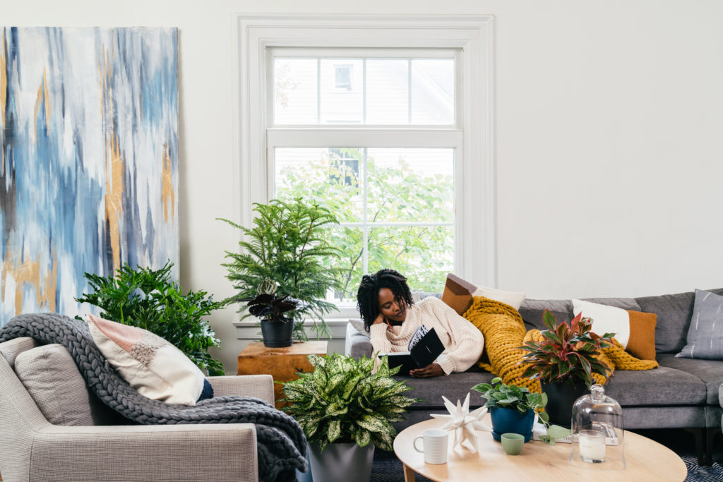 4 Methods That Houseplants Can Assist Battle Winter Blues