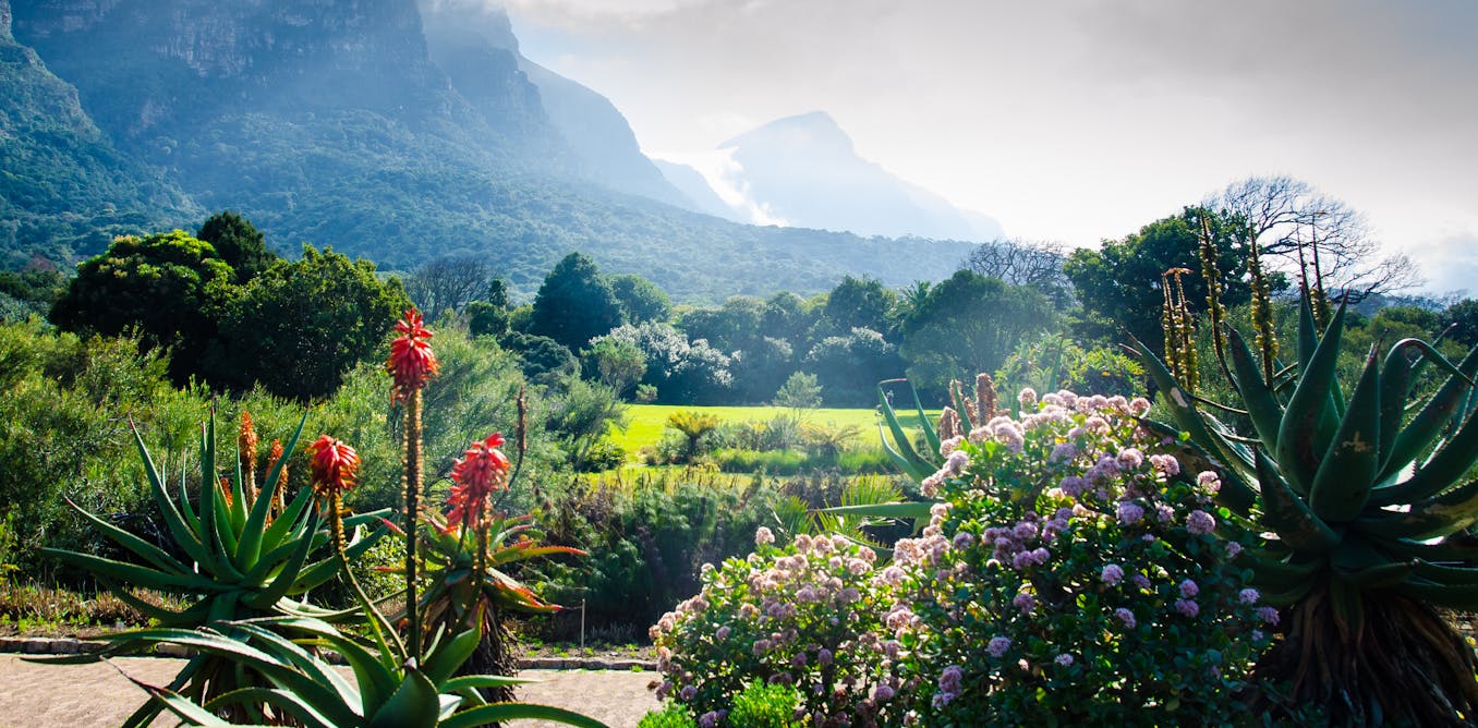 How the colonial earlier of botanical gardens will seemingly be put to good use