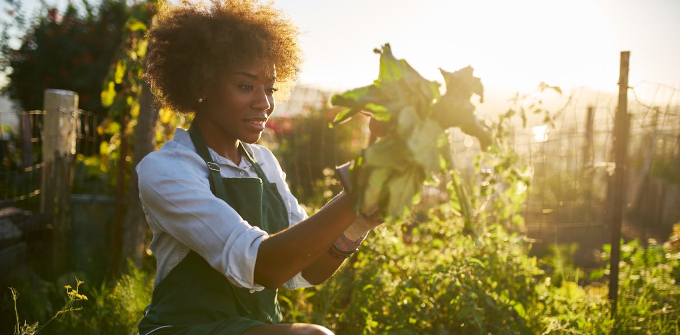 why medical medical medical doctors are prescribing gardening comparatively than medicine