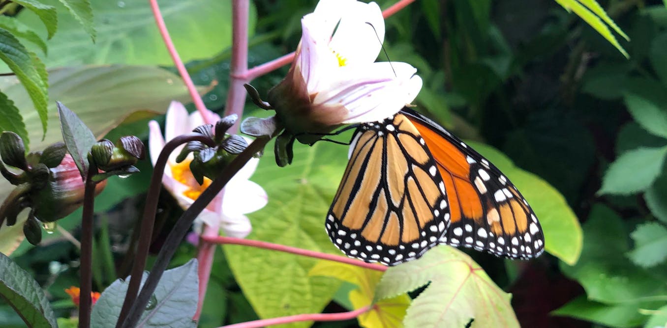 Group and faculty gardens don’t magically sprout bountiful advantages