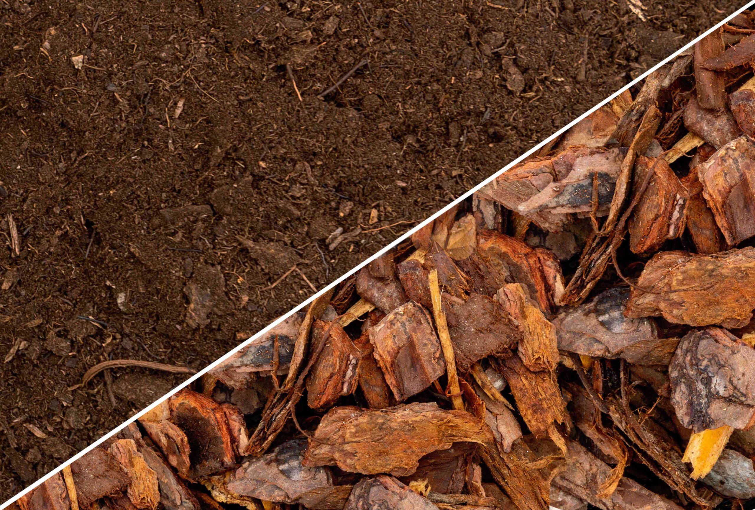 Compost vs. Mulch: What’s the Distinction?