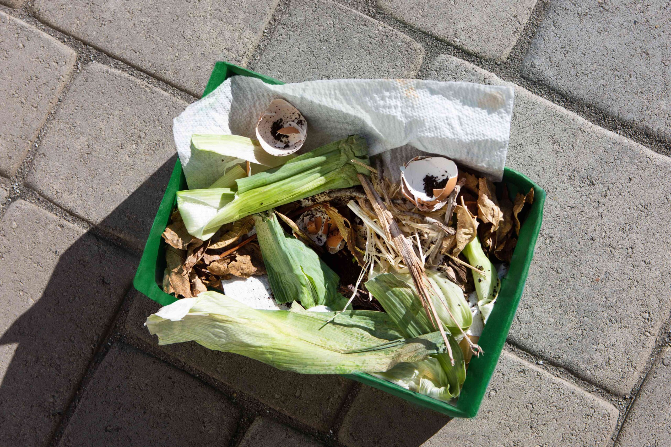 The Right Compost Ratio of Greens and Browns