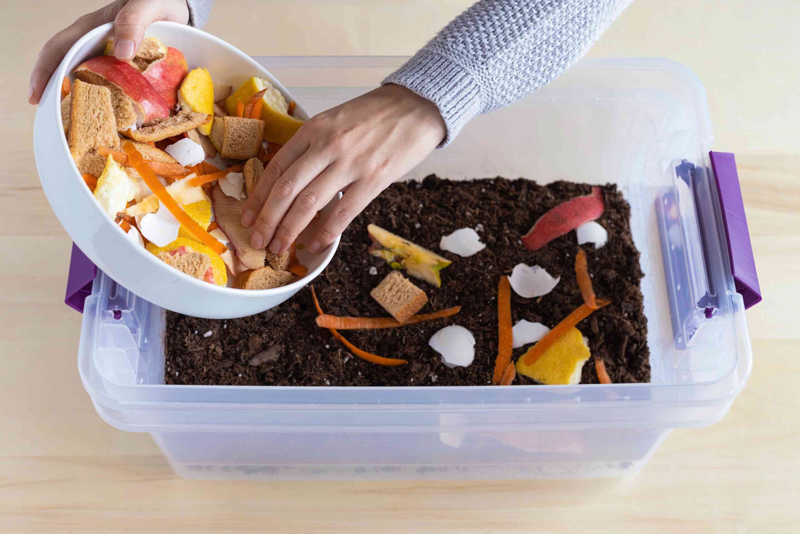 Discover ways to Compost in an Condominium